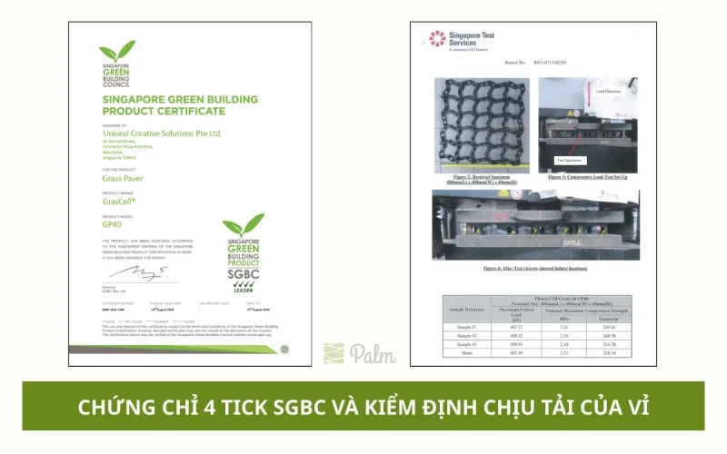 Vỉ Trồng Cỏ Chịu Lực | Tất Tần Tật Về Lợi Ích, Ứng Dụng Và Cách Lắp Đặt